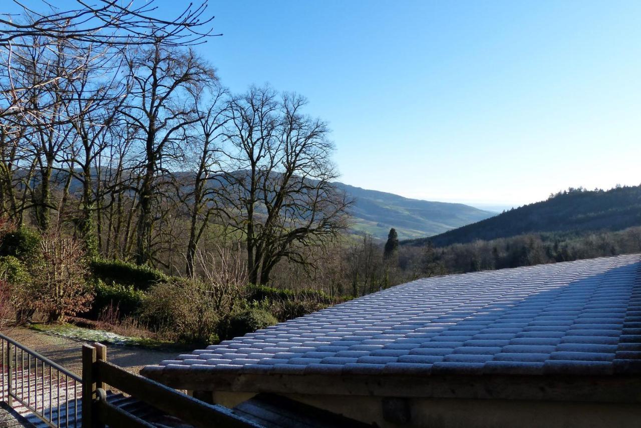 Gite Du Hameau D'Amignie Vernay 外观 照片