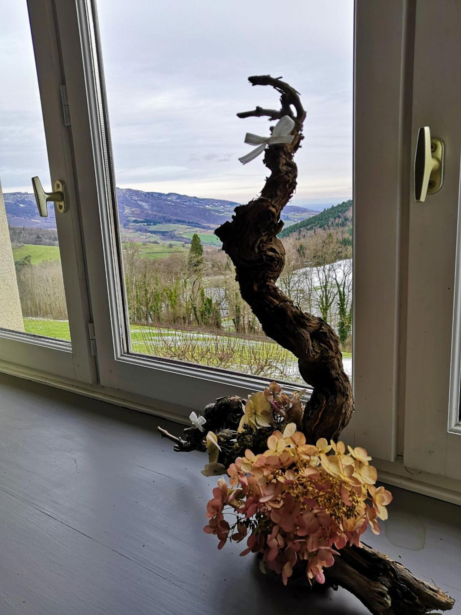 Gite Du Hameau D'Amignie Vernay 外观 照片